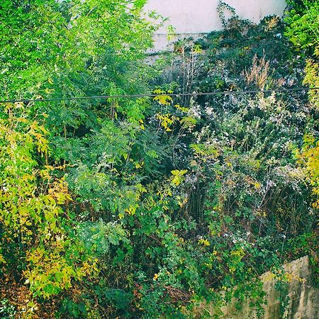 Calm Apartment Belgrad Exterior foto