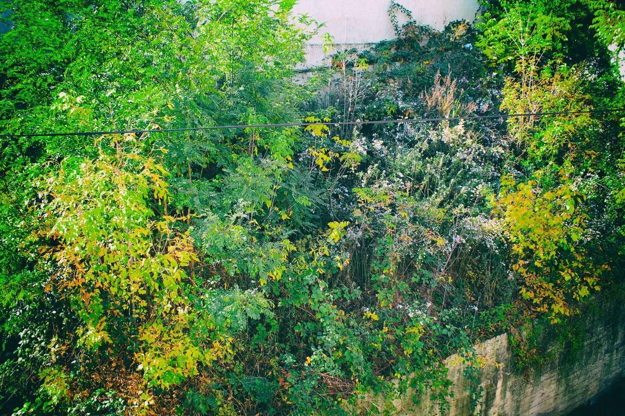 Calm Apartment Belgrad Exterior foto